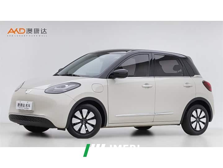 Wuling Binguo 333km Joy Edition