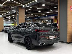BMW X6 xDrive40i M Sport Premium Package - ფოტო 12