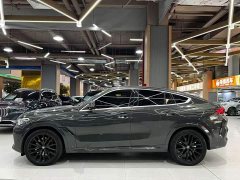 BMW X6 xDrive40i M Sport Premium Package - ფოტო 13