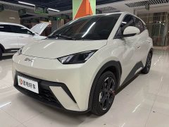 BYD Seagull 305km Freedom Edition - ფოტო 1