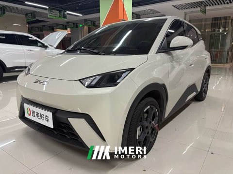 2025 BYD Seagull 305km Freedom Edition - ავტომობილი ჩინეთიდან