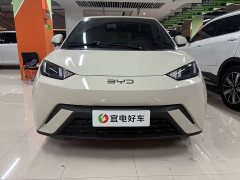 BYD Seagull 305km Freedom Edition - ფოტო 2