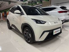BYD Seagull 305km Freedom Edition - ფოტო 3
