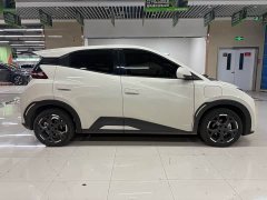 BYD Seagull 305km Freedom Edition - ფოტო 4