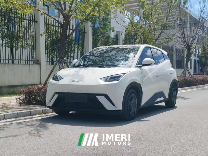 BYD Seagull Vitality Edition - ავტომობილი ჩინეთიდან