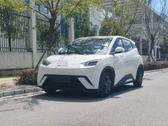 BYD Seagull Vitality Edition - ფოტო 1