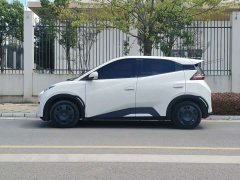 BYD Seagull Vitality Edition - ფოტო 3