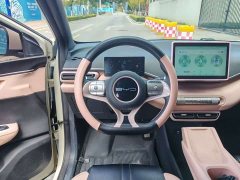 BYD Seagull Vitality Edition - ფოტო 9