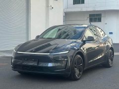 Tesla Model Y Rear-Wheel Drive - ფოტო 1