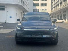 Tesla Model Y Rear-Wheel Drive - ფოტო 2