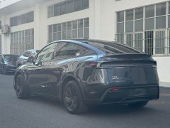 Tesla Model Y Rear-Wheel Drive - ფოტო 9
