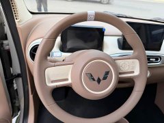 Wuling Hongguang MINIEV 5th Gen 205km Luxury Edition - ფოტო 18