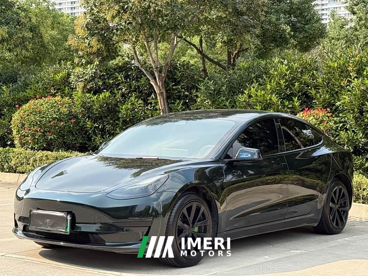 Tesla Model 3 Rear-Wheel Drive