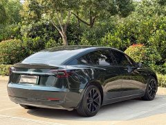 Tesla Model 3 Rear-Wheel Drive - ფოტო 5