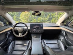 Tesla Model 3 Rear-Wheel Drive - ფოტო 8