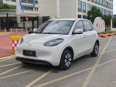 Wuling Binguo 333km Joy Edition - ფოტო 1
