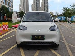 Wuling Binguo 333km Joy Edition - ფოტო 2