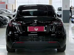 Tesla Model Y 2022 Facelift Rear-Wheel Drive - ფოტო 15