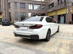 BMW 5 Series 530Li xDrive M Sport Package - ფოტო 7