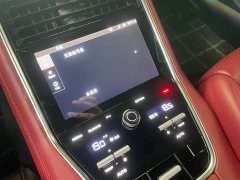 Porsche Panamera 2.9T - ფოტო 12