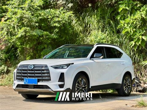2024 GAC Aion GS4 MAX 1.5T Premier Edition - ავტომობილი ჩინეთიდან
