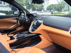 Aston Martin DBX 3.0T STRAIGHT-SIX - ფოტო 18
