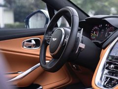 Aston Martin DBX 3.0T STRAIGHT-SIX - ფოტო 19