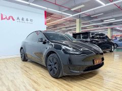 Tesla Model Y Rear-Wheel Drive - ფოტო 3