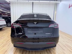 Tesla Model Y Rear-Wheel Drive - ფოტო 6