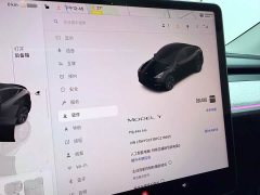 Tesla Model Y Rear-Wheel Drive - ფოტო 8