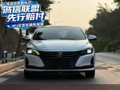 Changan Raize CC Blue Whale 1.5T DCT Luxury - ფოტო 2