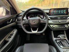Changan Raize CC Blue Whale 1.5T DCT Luxury - ფოტო 5