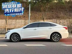 Changan Raize CC Blue Whale 1.5T DCT Luxury - ფოტო 7