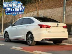 Changan Raize CC Blue Whale 1.5T DCT Luxury - ფოტო 8