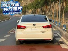 Changan Raize CC Blue Whale 1.5T DCT Luxury - ფოტო 9