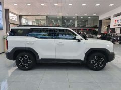 Haval Cool Dog 2022 1.5T DCT AWD Trendy Wilderness Edition - ფოტო 4
