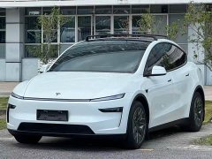 Tesla Model Y L Long Range All-Wheel Drive - ფოტო 1