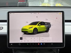 Tesla Model Y Rear-Wheel Drive - ფოტო 11