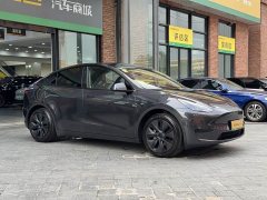 Tesla Model Y Rear-Wheel Drive - ფოტო 3