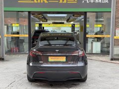 Tesla Model Y Rear-Wheel Drive - ფოტო 5