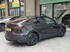 Tesla Model Y Rear-Wheel Drive - ფოტო 7