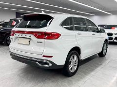 Haval M6 2021 PLUS 1.5T DCT Elite Smart Connected Edition - ფოტო 6