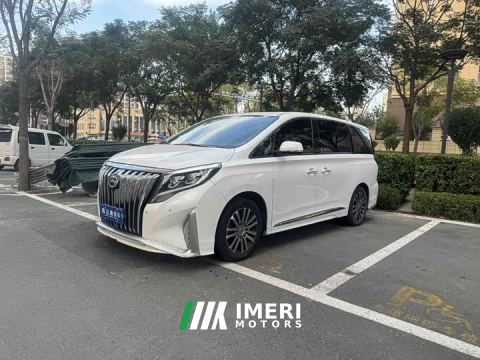 2021 GAC Aion M8 Lingxiu Series 390T Luxury Edition