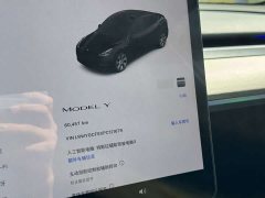 Tesla Model Y 2022 Facelift Rear-Wheel Drive - ფოტო 8