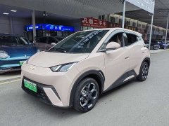 BYD Seagull Glory Edition 305km Freedom Version - ფოტო 1