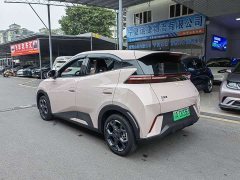 BYD Seagull Glory Edition 305km Freedom Version - ფოტო 14