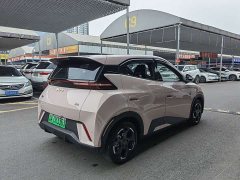 BYD Seagull Glory Edition 305km Freedom Version - ფოტო 15