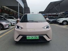 BYD Seagull Glory Edition 305km Freedom Version - ფოტო 3