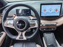 BYD Seagull Glory Edition 305km Freedom Version - ფოტო 8