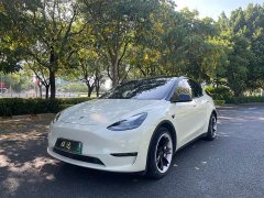 Tesla Model Y Standard Range RWD - ფოტო 1